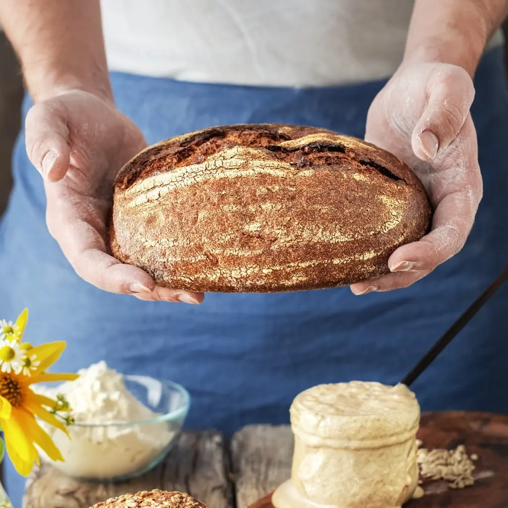 Sourdough Loaf